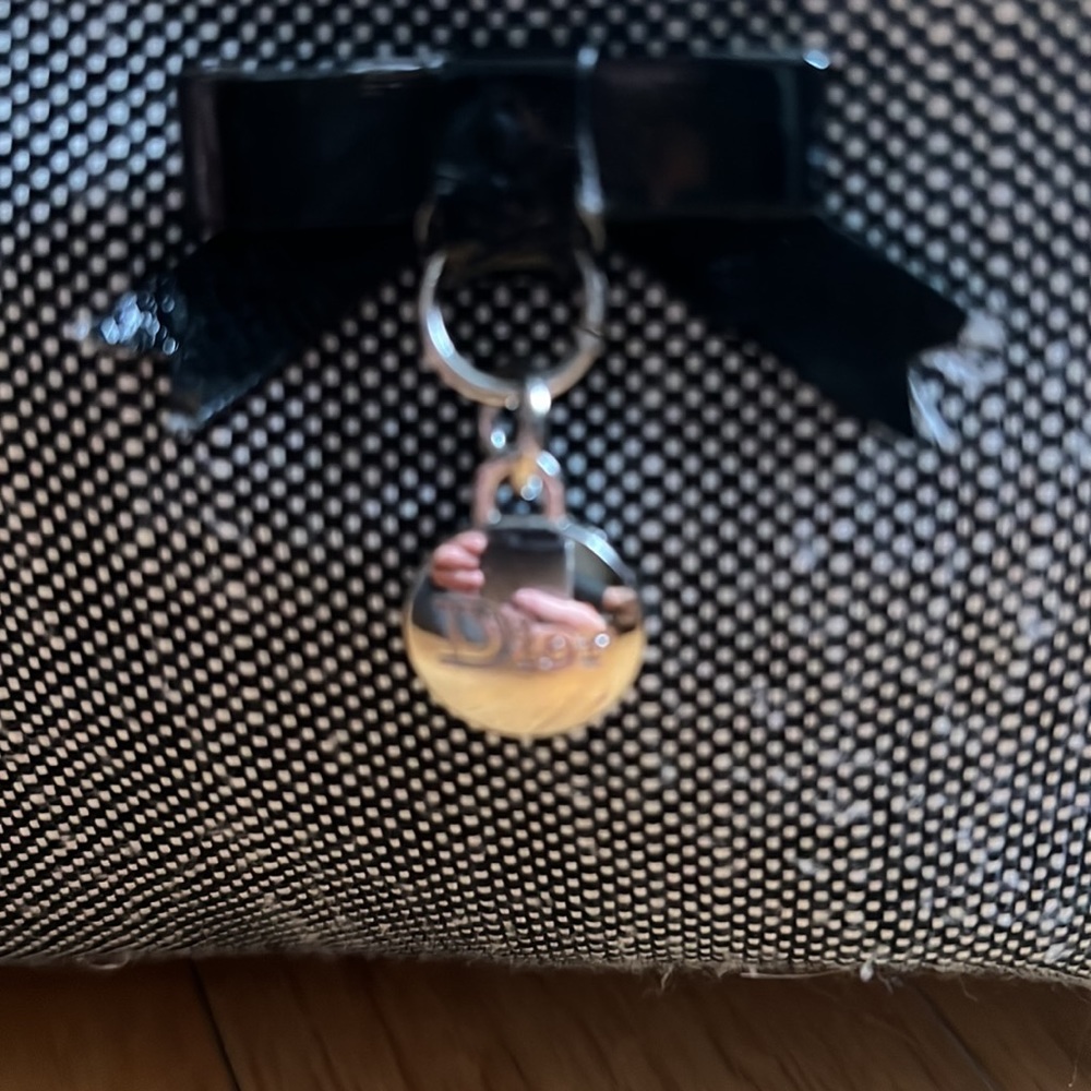 Cute Dior cosmetic/ perfume pouch